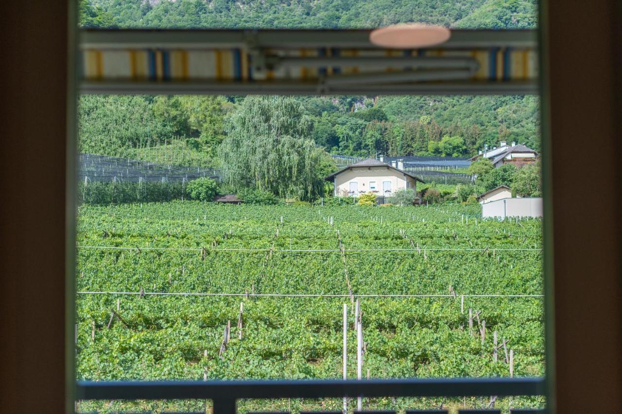 Haus Stolz Bed & Breakfast Appiano Sulla Strada Del Vino Eksteriør bilde